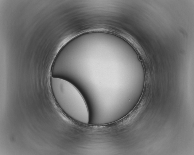 X0000110890858200906181004
