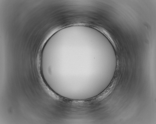 X0000110890859200906181004