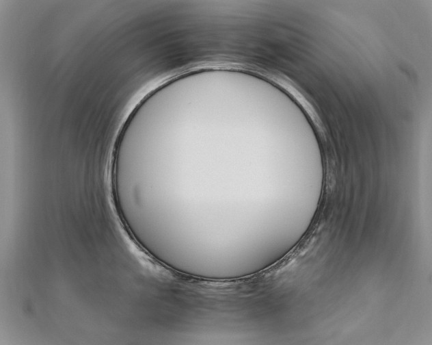 X0000110890861200906181004