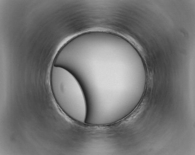 X0000110890862200906181004