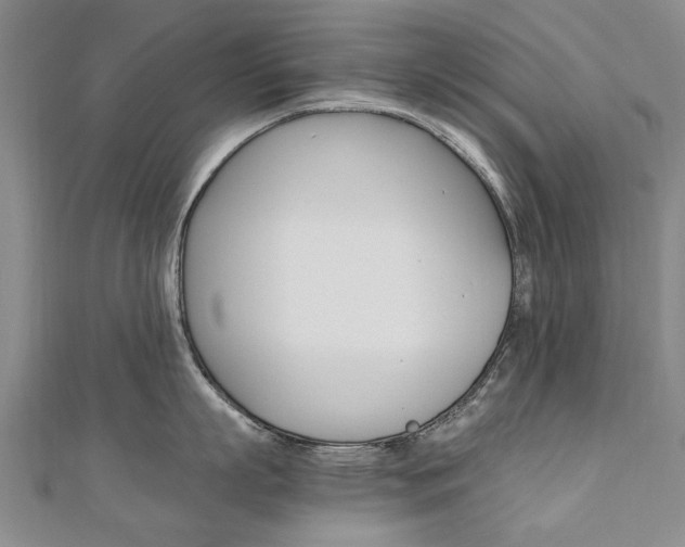 X0000110890863200906181004