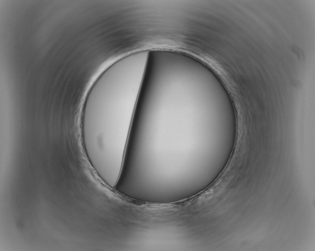 X0000110890864200906181004