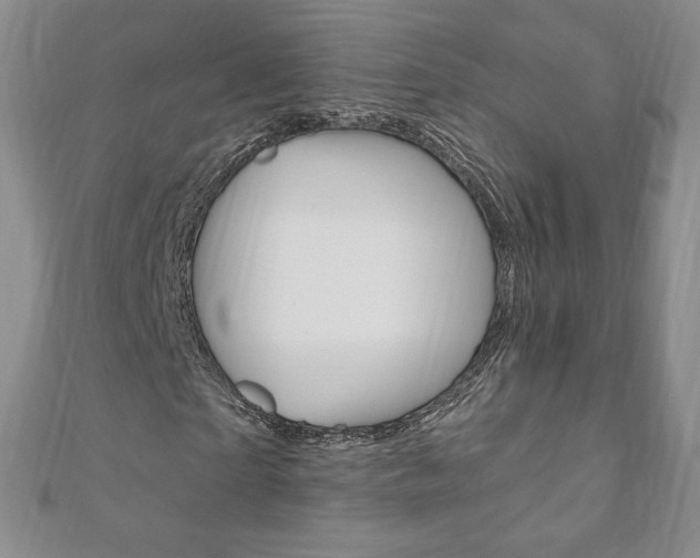 X0000110890865200906181004