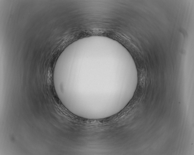 X0000110890866200906181004