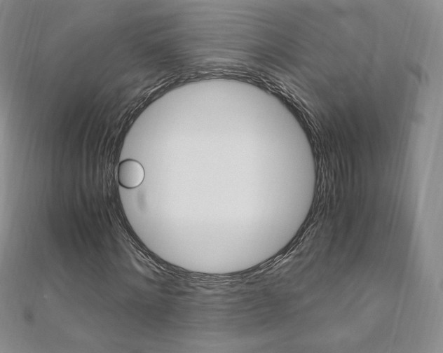 X0000110890868200906181004