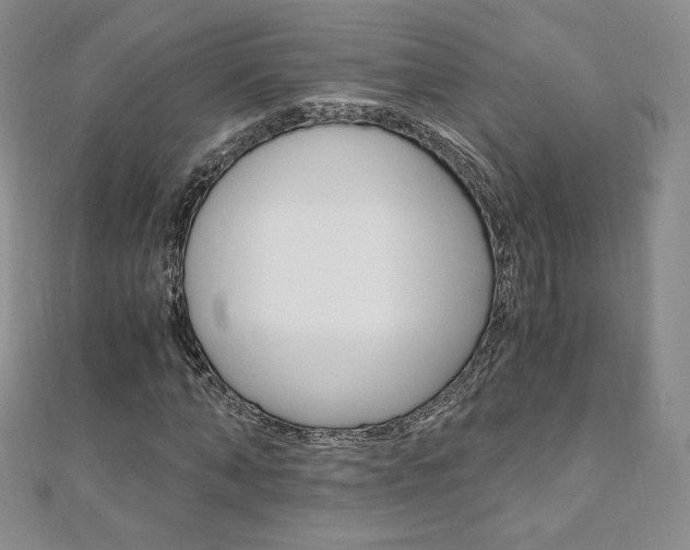 X0000110890870200906181004