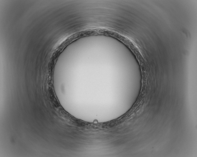 X0000110890871200906181004