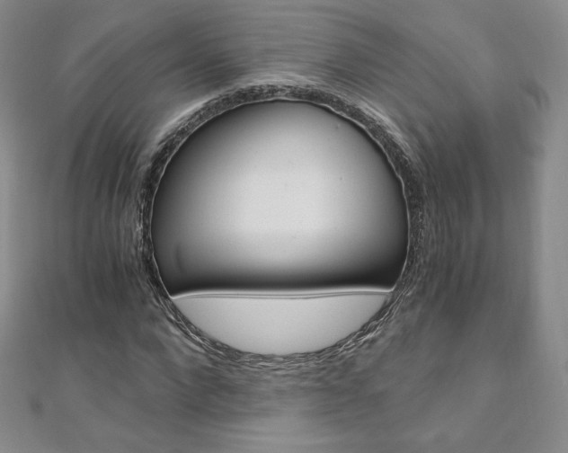 X0000110890872200906181004