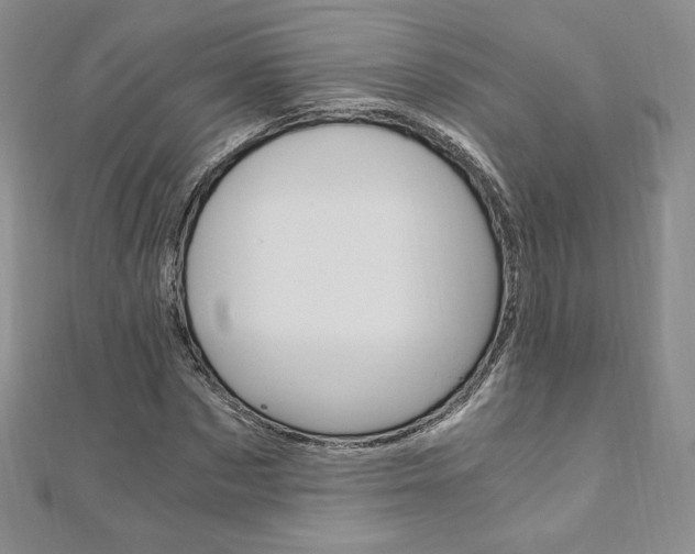 X0000110890873200906181004
