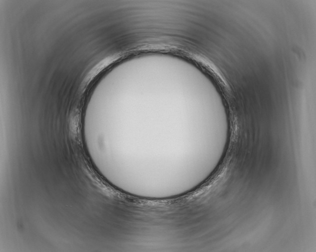 X0000110890874200906181004