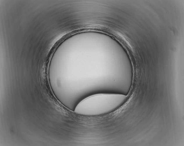 X0000110890875200906181004