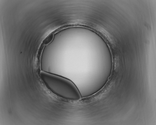 X0000110890876200906181004