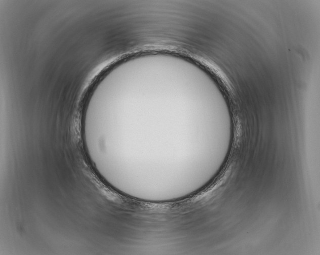 X0000110890878200906181004