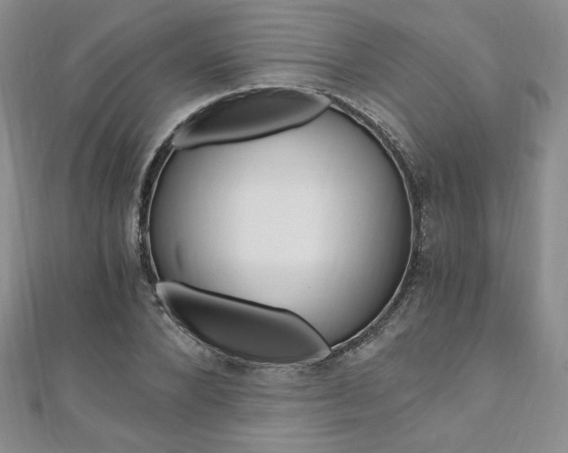 X0000110890880200906181004