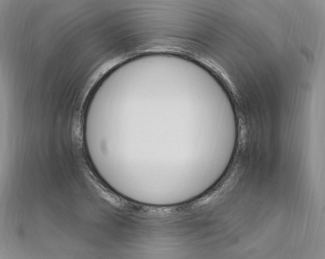 X0000110890882200906181004