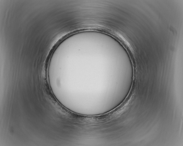 X0000110890883200906181004