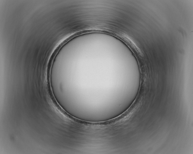 X0000110890884200906181004
