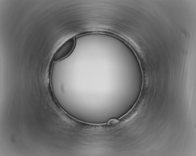 X0000110890885200906181004