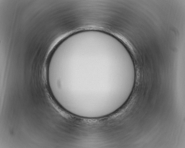 X0000110890886200906181004
