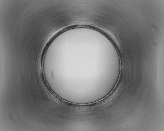 X0000110890887200906181003