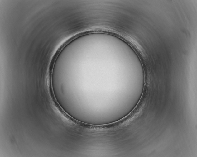 X0000110890888200906181003