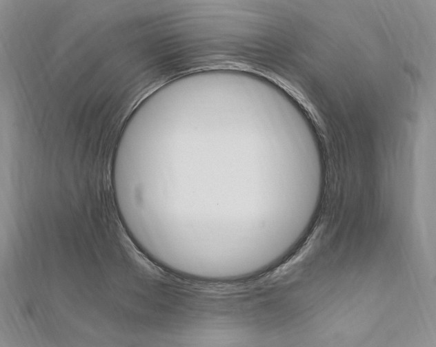 X0000110890889200906181003