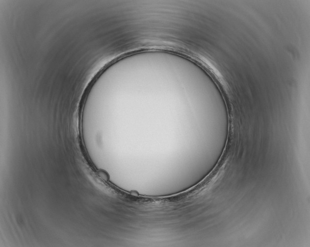 X0000110890891200906181003