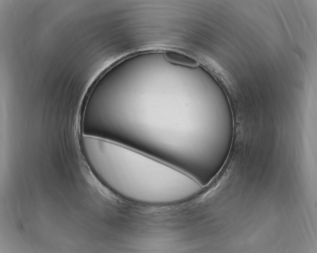 X0000110890892200906181003