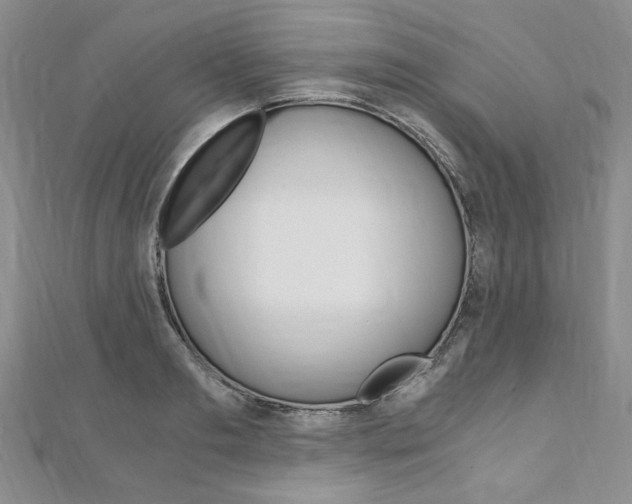 X0000110890893200906181003