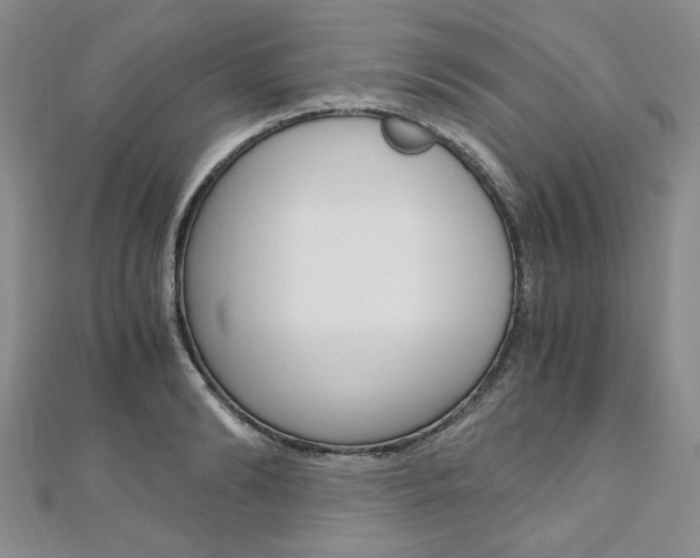 X0000110890894200906181003