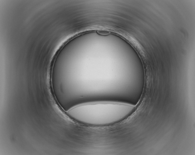 X0000110890896200906181003