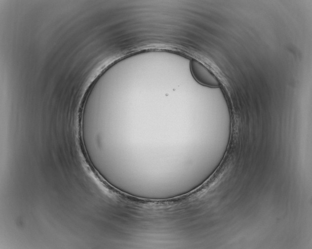 X0000110890898200906181003