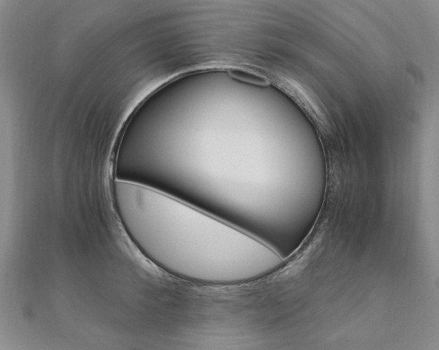 X0000110890900200906181003