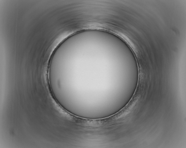 X0000110890901200906181003