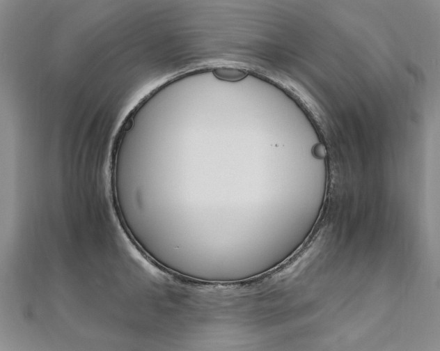 X0000110890902200906181003