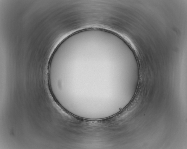 X0000110890903200906181003
