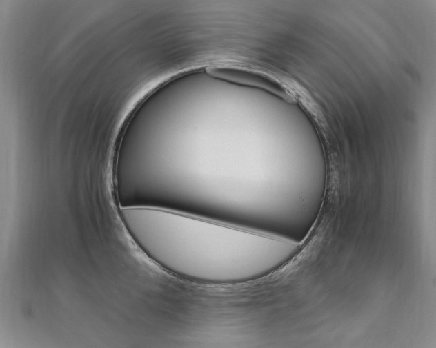 X0000110890904200906181003