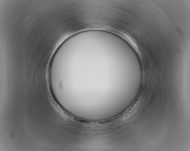 X0000110890907200906181003
