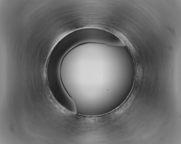 X0000110890908200906181003