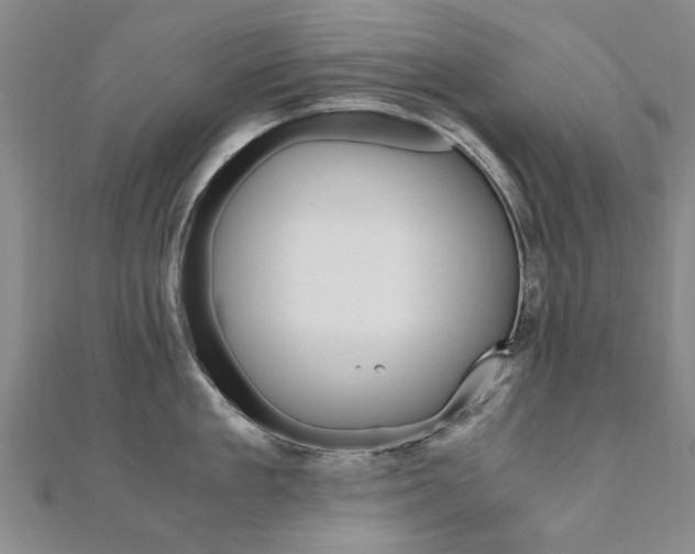 X0000110890909200906181003