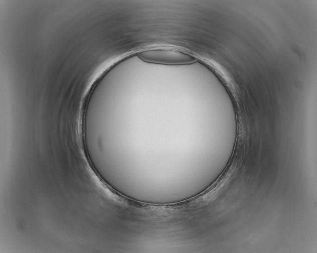 X0000110890910200906181003