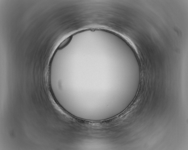 X0000110890911200906181003