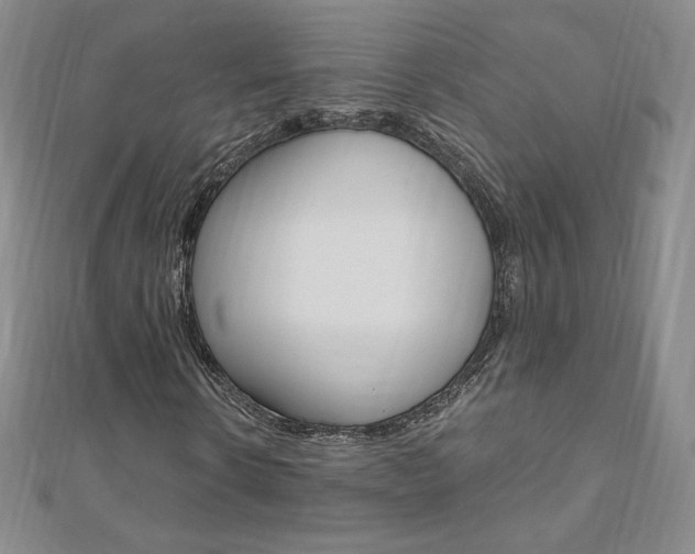 X0000110890914200906181002