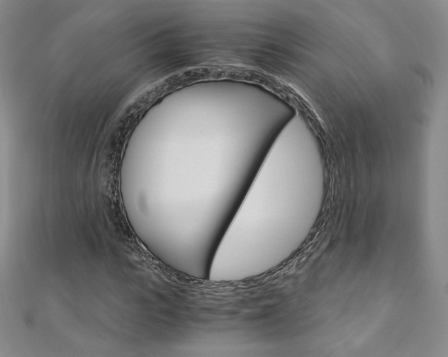 X0000110890919200906181002