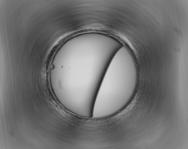 X0000110890923200906181003