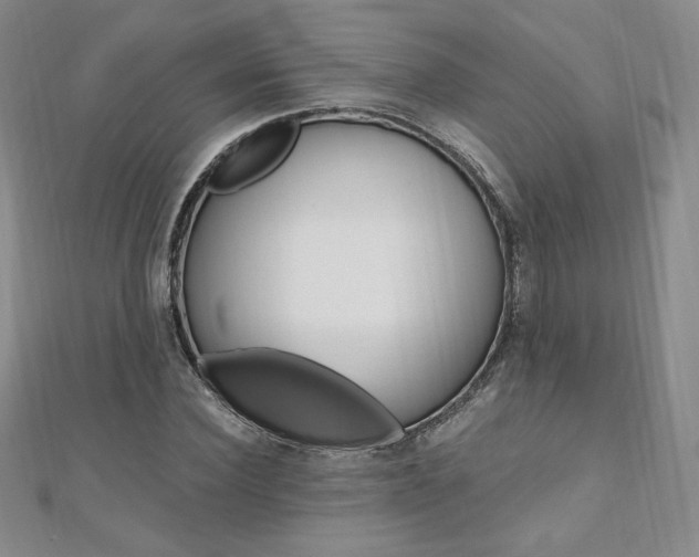 X0000110890924200906181003