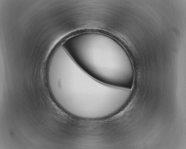 X0000110890926200906181003