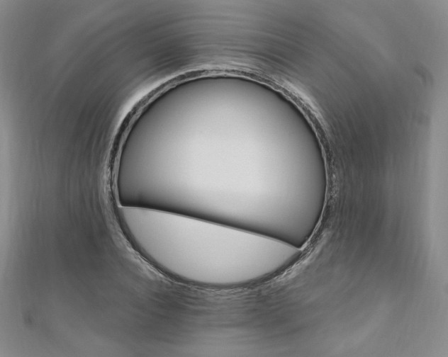 X0000110890928200906181003