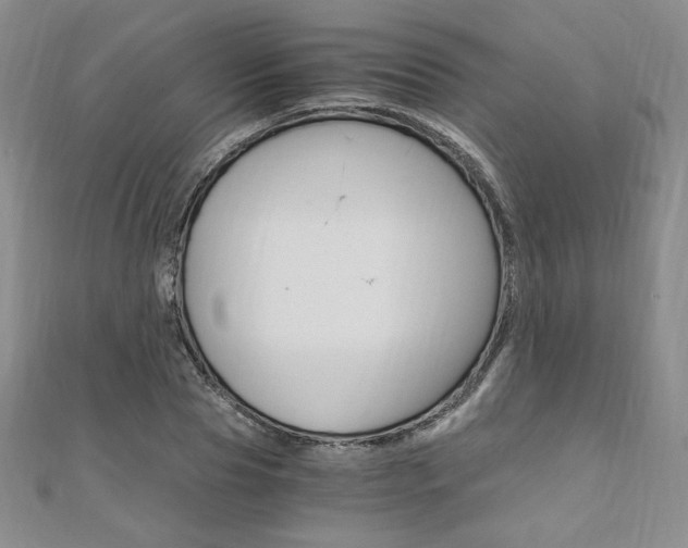 X0000110890929200906181003