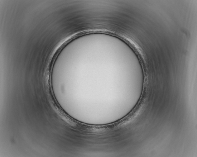 X0000110890933200906181003